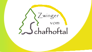 logo zwinger