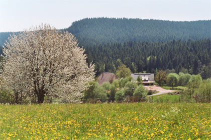 Foto vom Schafhof